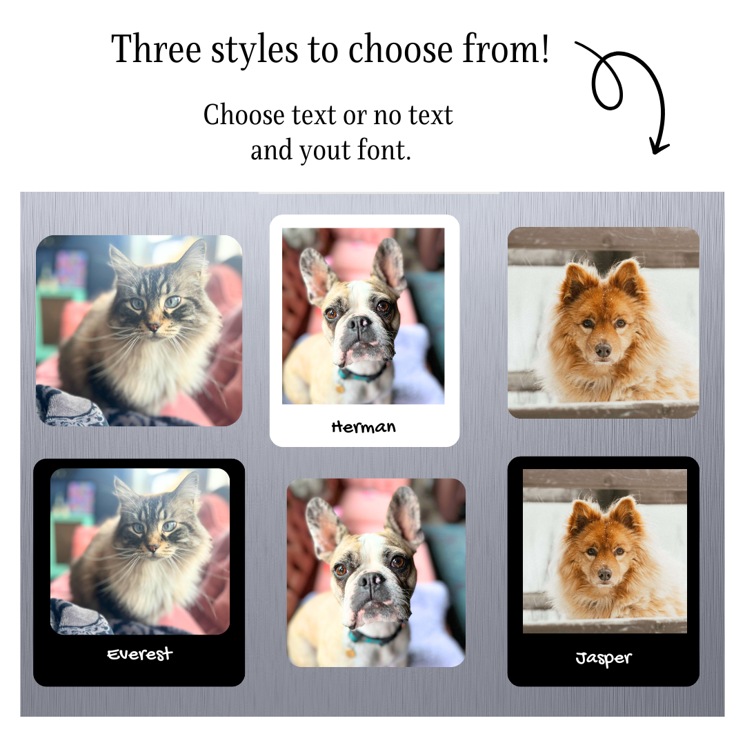 Standard Shape Custom Pet Photo Stickers & Magnets, Sticker Bundle, e-reader Kindle Sticker, Water Bottle Sticker, Laptop Sticker