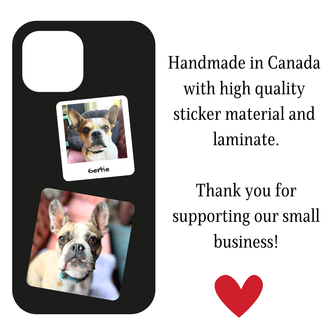 Standard Shape Custom Pet Photo Stickers & Magnets, Sticker Bundle, e-reader Kindle Sticker, Water Bottle Sticker, Laptop Sticker