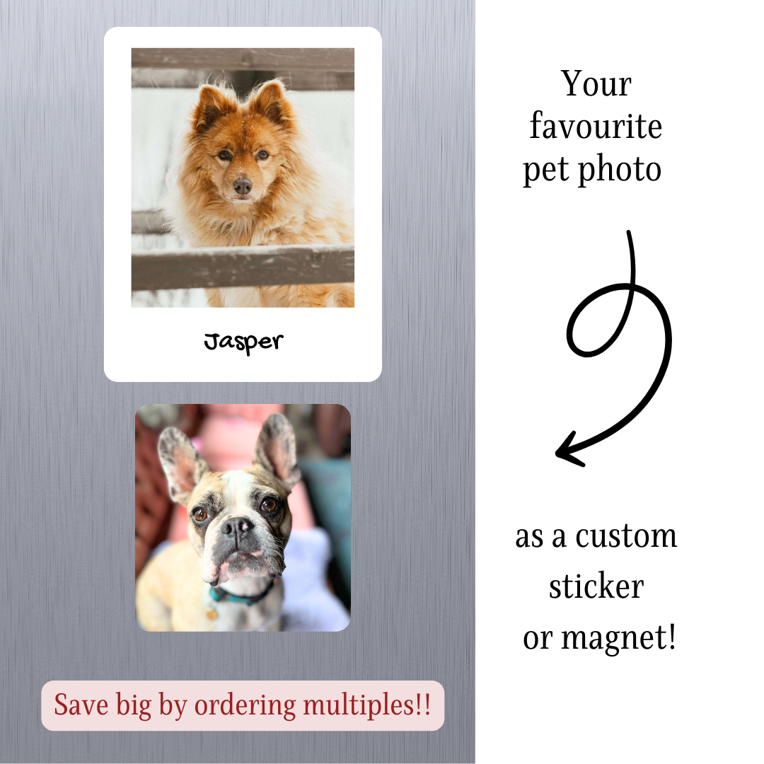 Standard Shape Custom Pet Photo Stickers & Magnets, Sticker Bundle, e-reader Kindle Sticker, Water Bottle Sticker, Laptop Sticker
