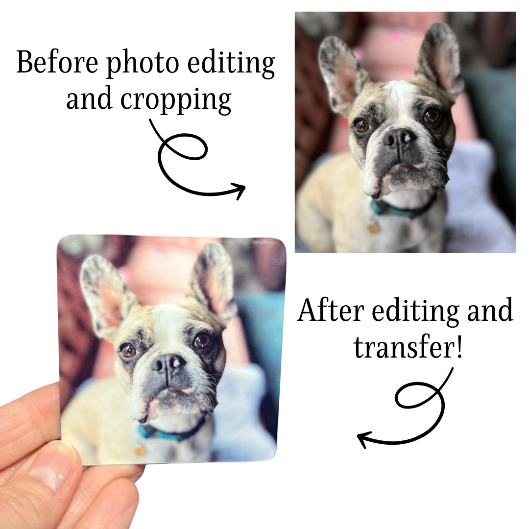 Standard Shape Custom Pet Photo Stickers & Magnets, Sticker Bundle, e-reader Kindle Sticker, Water Bottle Sticker, Laptop Sticker