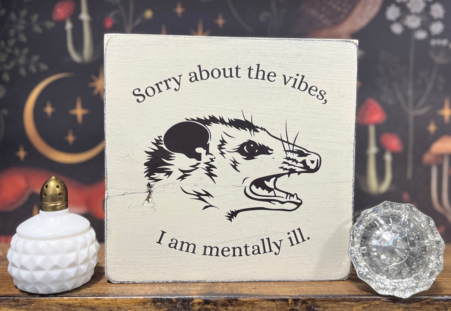 Sorry about the vibes, I am mentally ill , Decorative Block, Mental Heath Humour