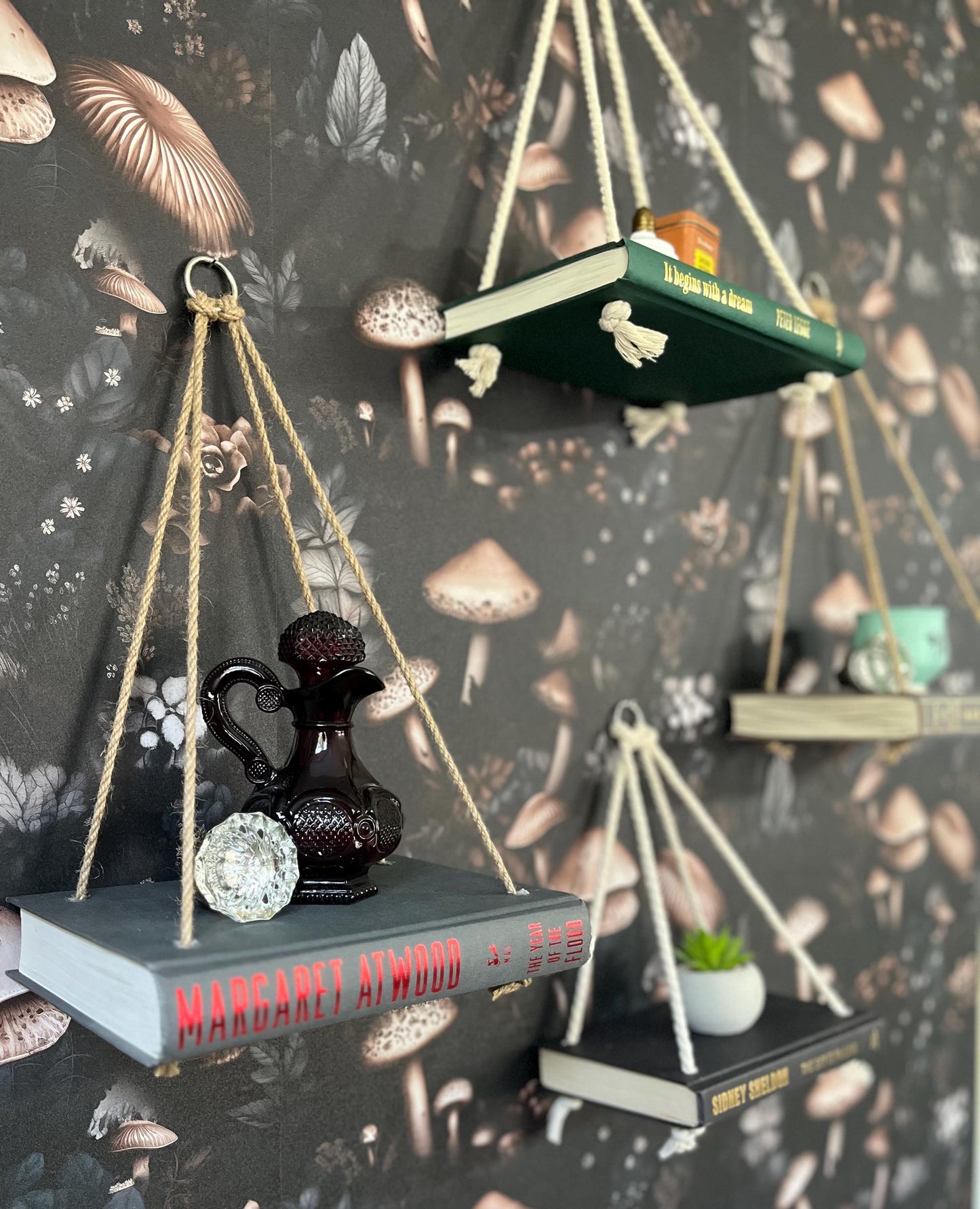 Novel Shelf, Hanging Rope Shelf, Plant shelf, Wall shelf, Succulent shelf, Book shelf