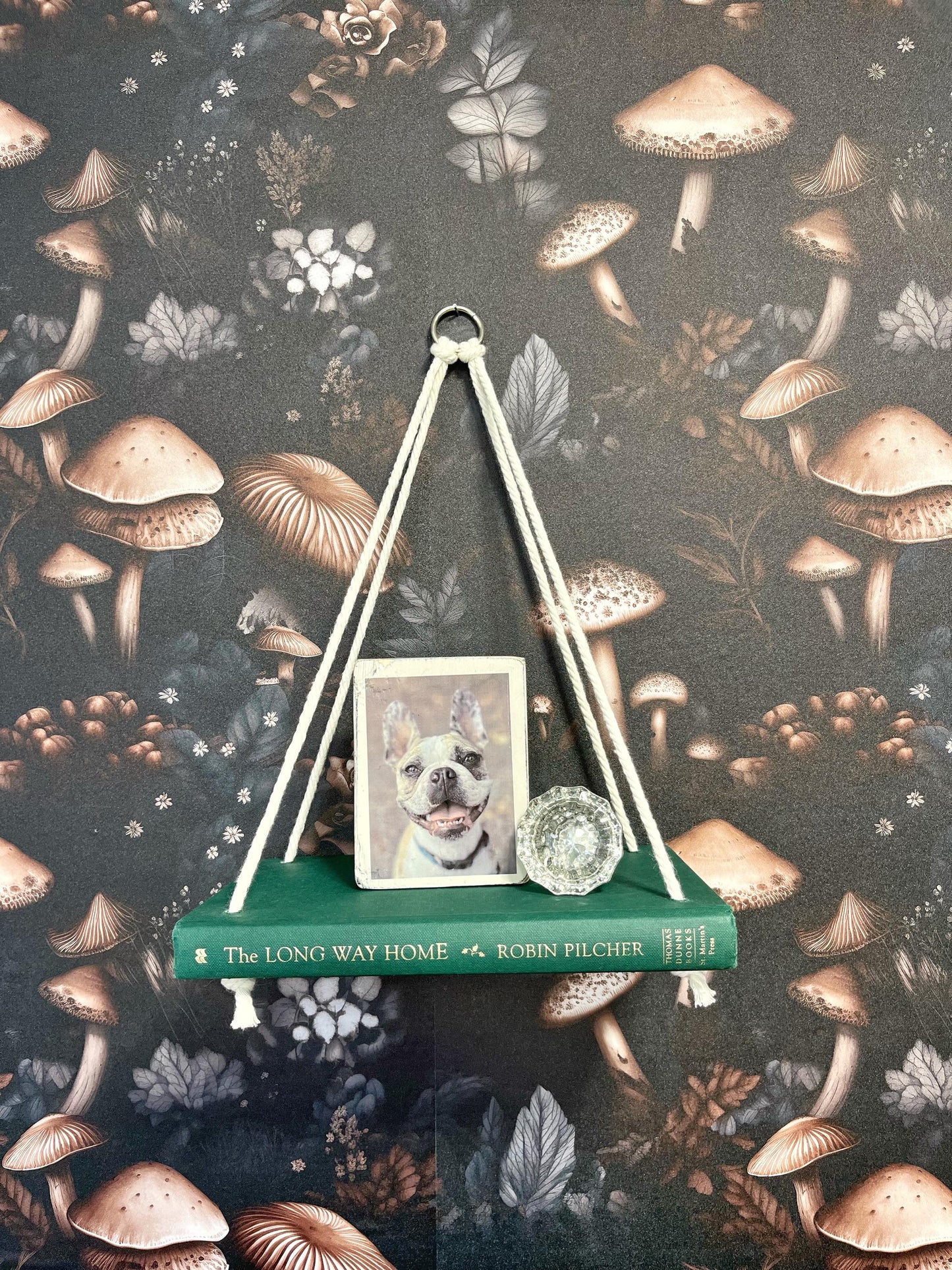 Novel Shelf, Hanging Rope Shelf, Plant shelf, Wall shelf, Succulent shelf, Book shelf