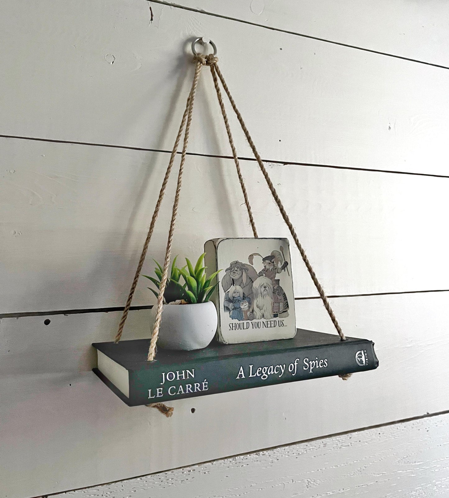 Novel Shelf, Hanging Rope Shelf, Plant shelf, Wall shelf, Succulent shelf, Book shelf