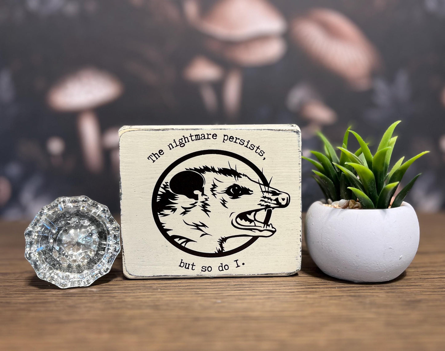 The nightmare persists, but so do I, Funny Signs, Funny Gift