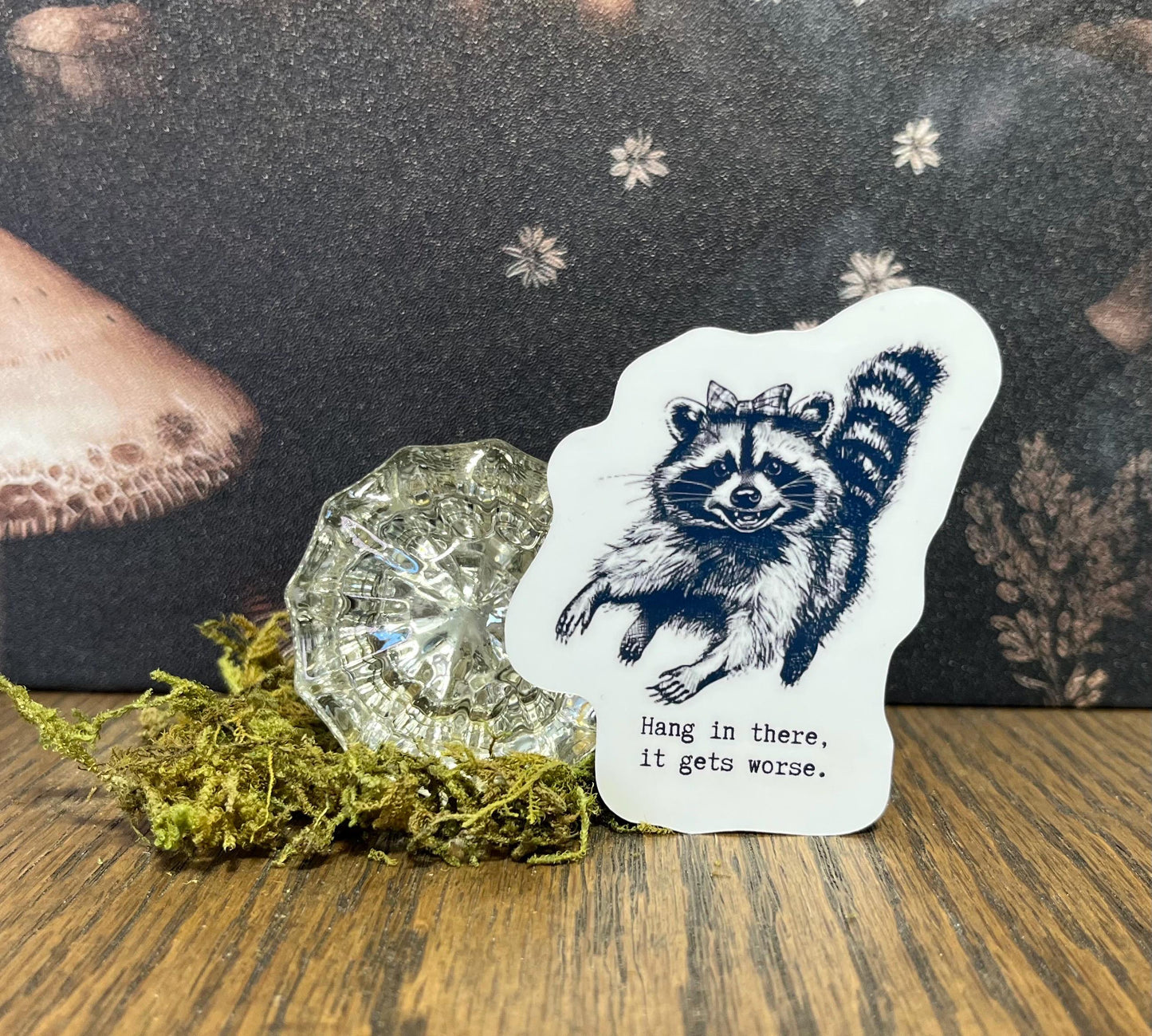 Hang in there it get's worse, Raccoon Sticker, Fridge Magnet, e-reader, Kindle Sticker, Water Bottle Sticker, Laptop Sticker