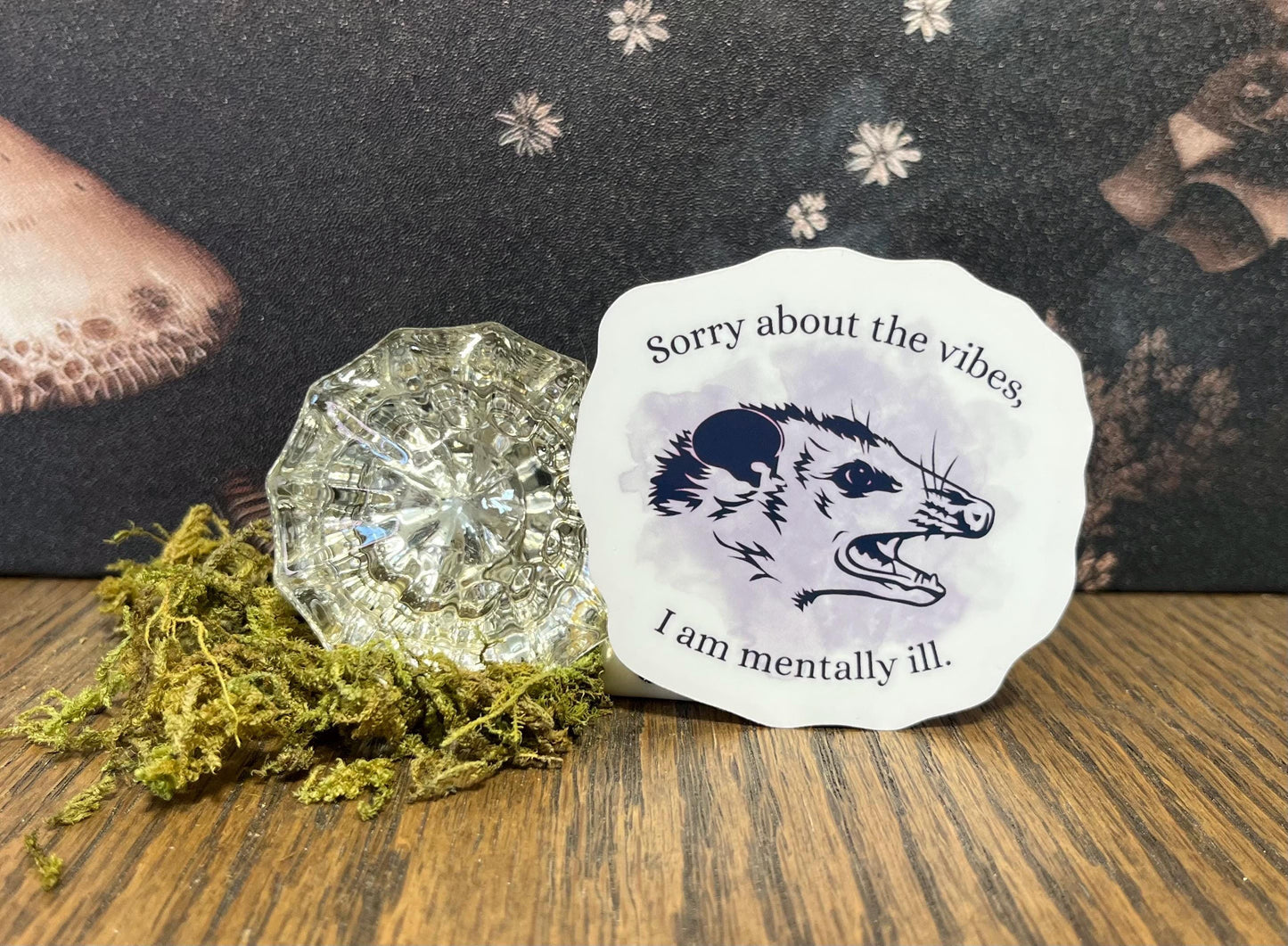 Sorry about the vibes, I am mentally ill, Possum Sticker, Fridge Magnet, e-reader Kindle Sticker, Water Bottle Sticker, Laptop Sticker