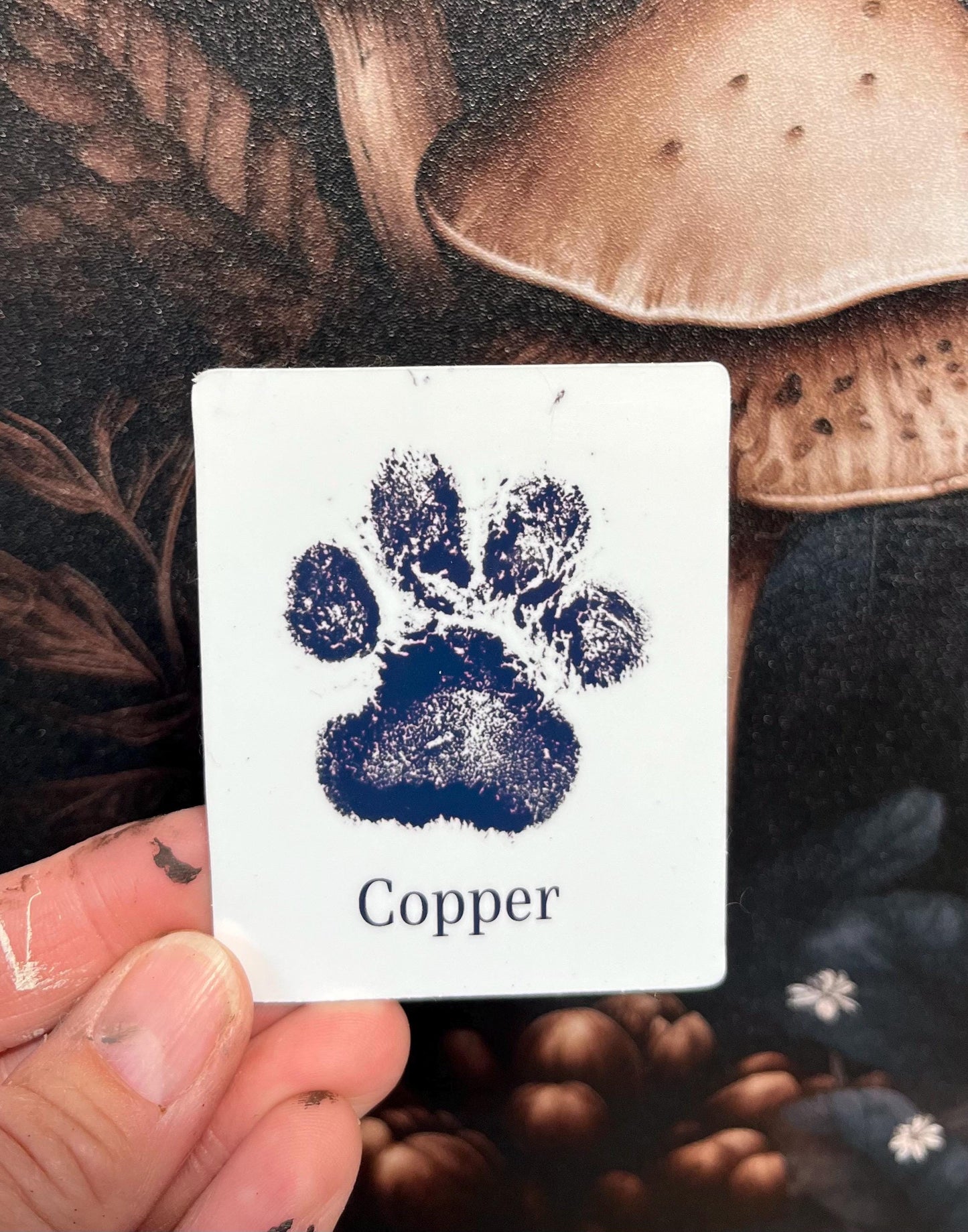 Custom Paw or Nose Print Sticker or Magnet, Sticker Bundle, Pet stickers, Pet Magnets, Phone Case Sticker, Sticker Bundle, Pet memorial