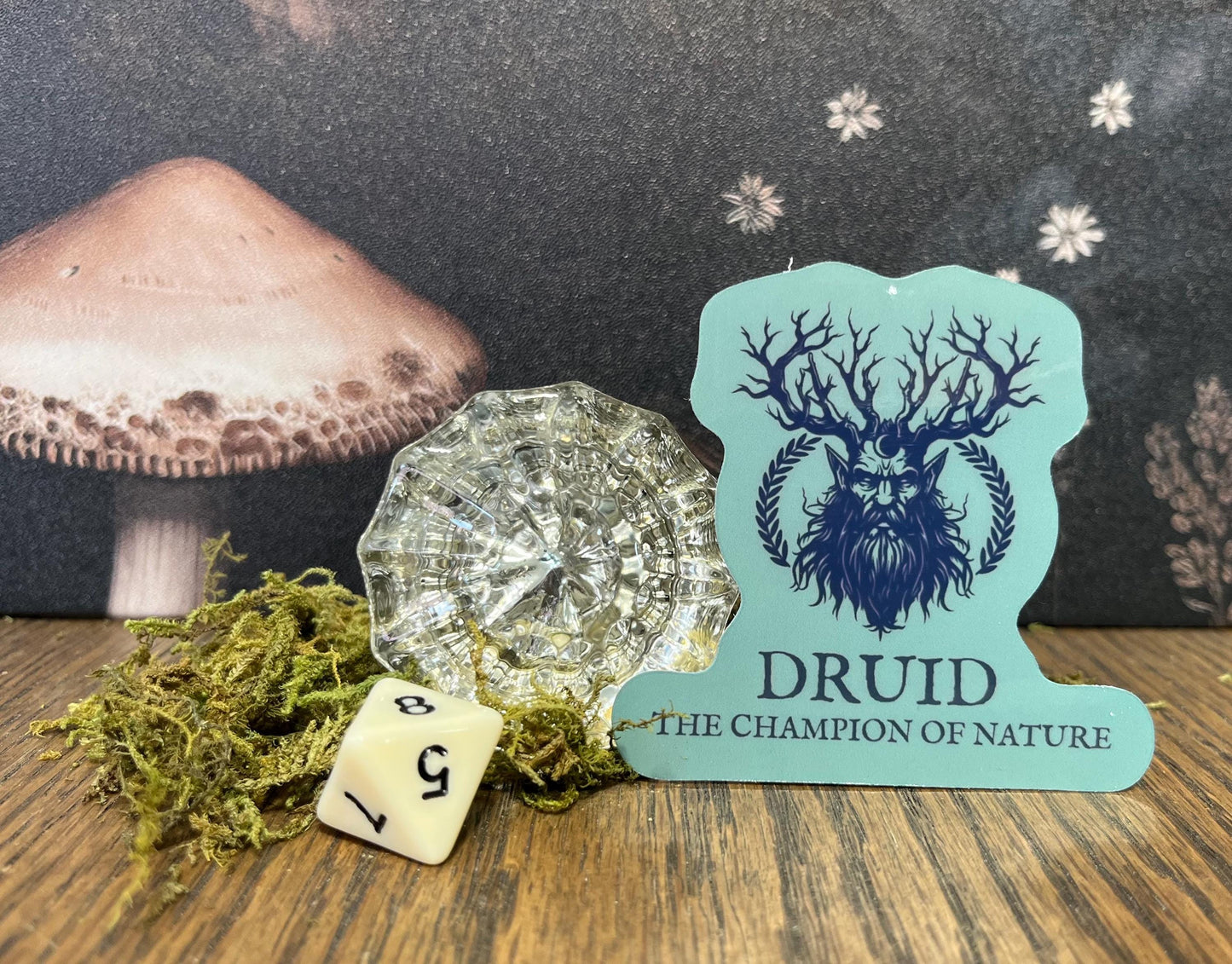 Druid Class Sticker, Magnet, e-reader Kindle Sticker, Water Bottle Sticker, Dungeons & Dragons, DnD gift, Dnd classes