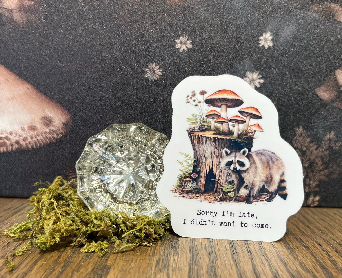 Sorry I'm late, I didn't want to come, Raccoon Sticker, Fridge Magnet, e-reader Kindle Sticker, Water Bottle Sticker, Laptop Sticker