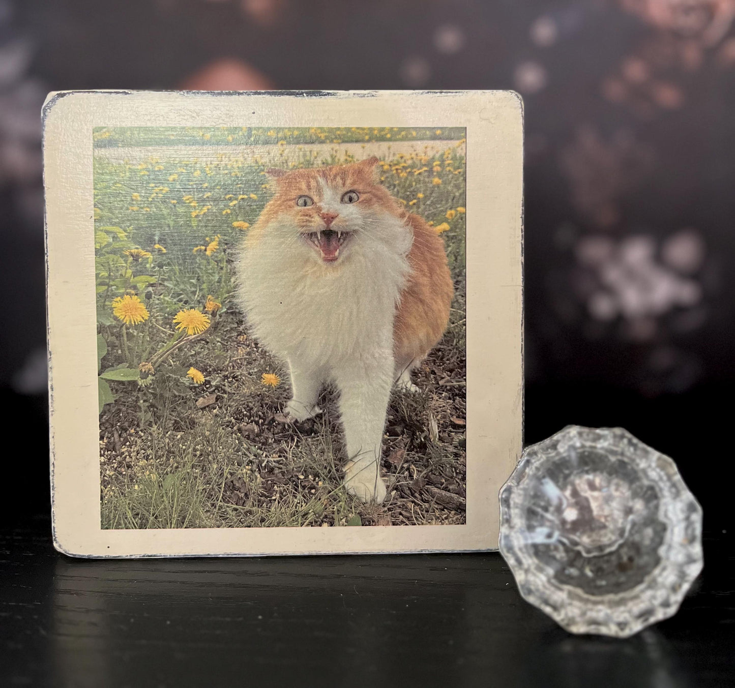 Custom Pet Photo Block,