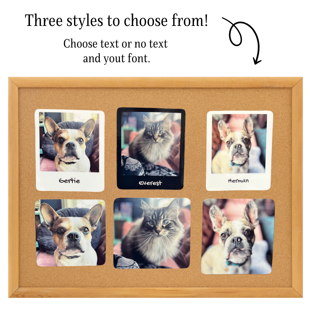 Standard Shape Custom Pet Photo Stickers & Magnets, Sticker Bundle, e-reader Kindle Sticker, Water Bottle Sticker, Laptop Sticker