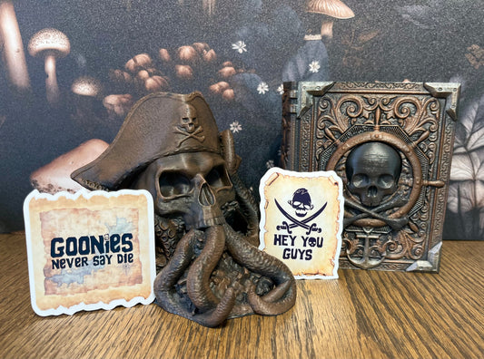Goonies Stickers & Magnet, 80's Movies, Goonies movie gift, e-reader Kindle Sticker, Water Bottle Sticker, Laptop Sticker