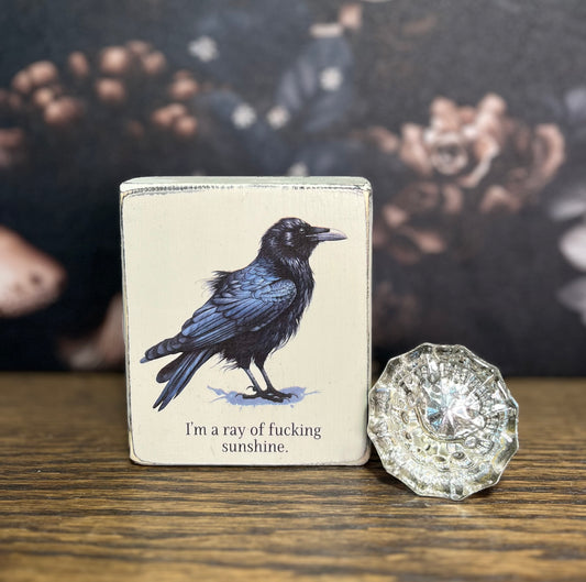 I'm a ray of fucking sunshine Decorative Block