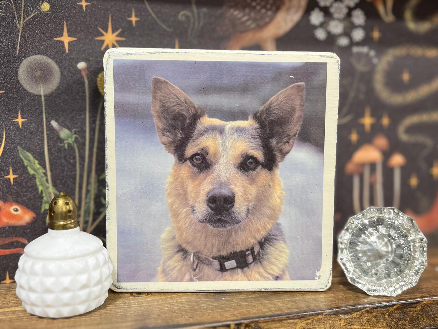 Custom Pet Photo Block,