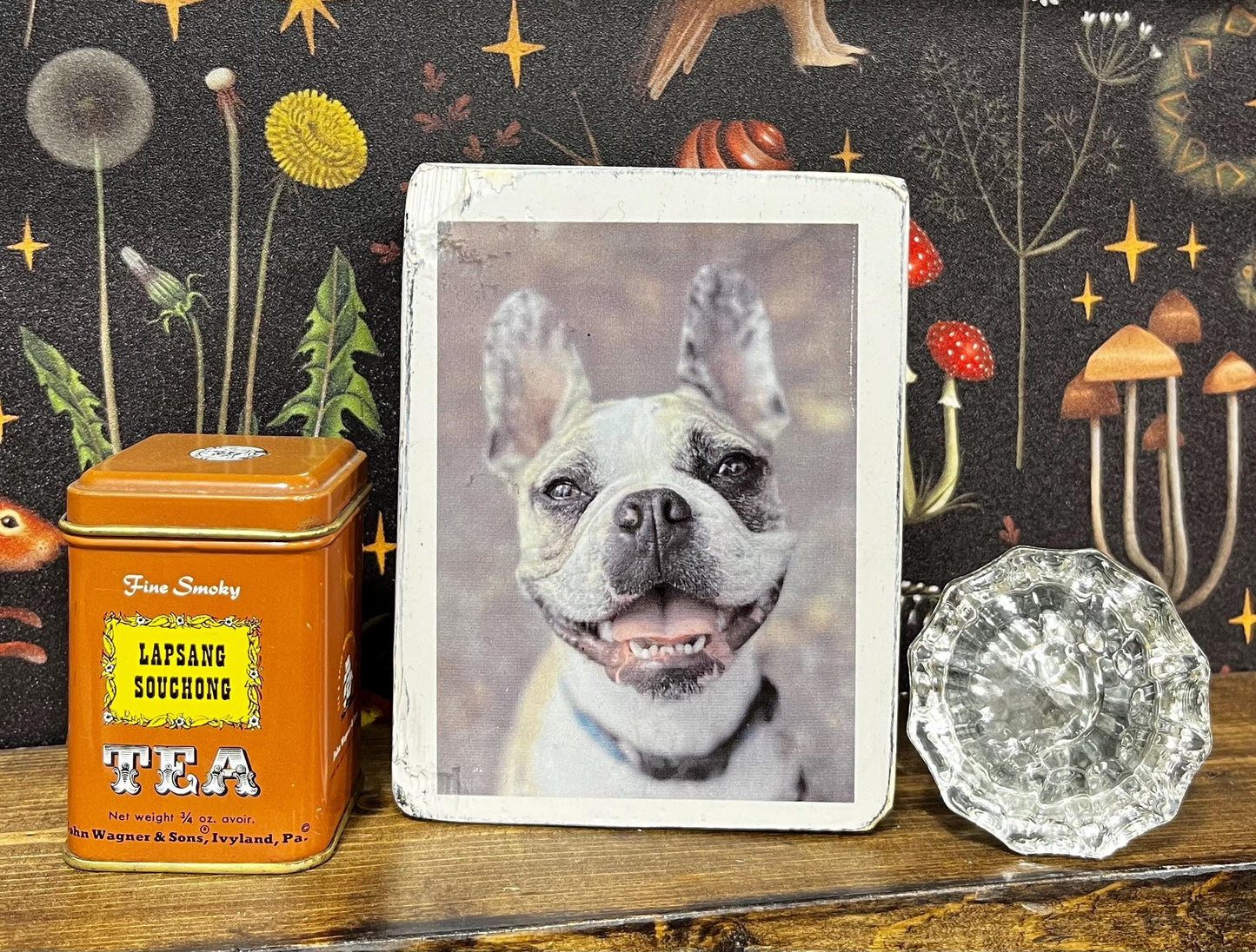 Custom Pet Photo Block,