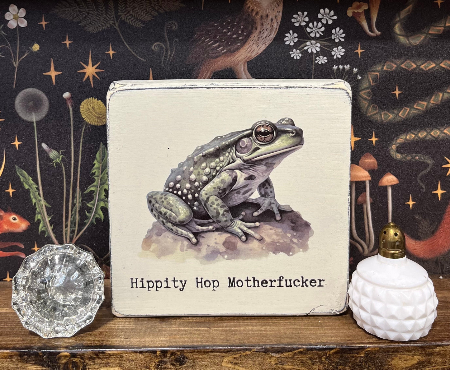 Hippity Hop Motherfucker Decorative Block, Funny Sign, Gift