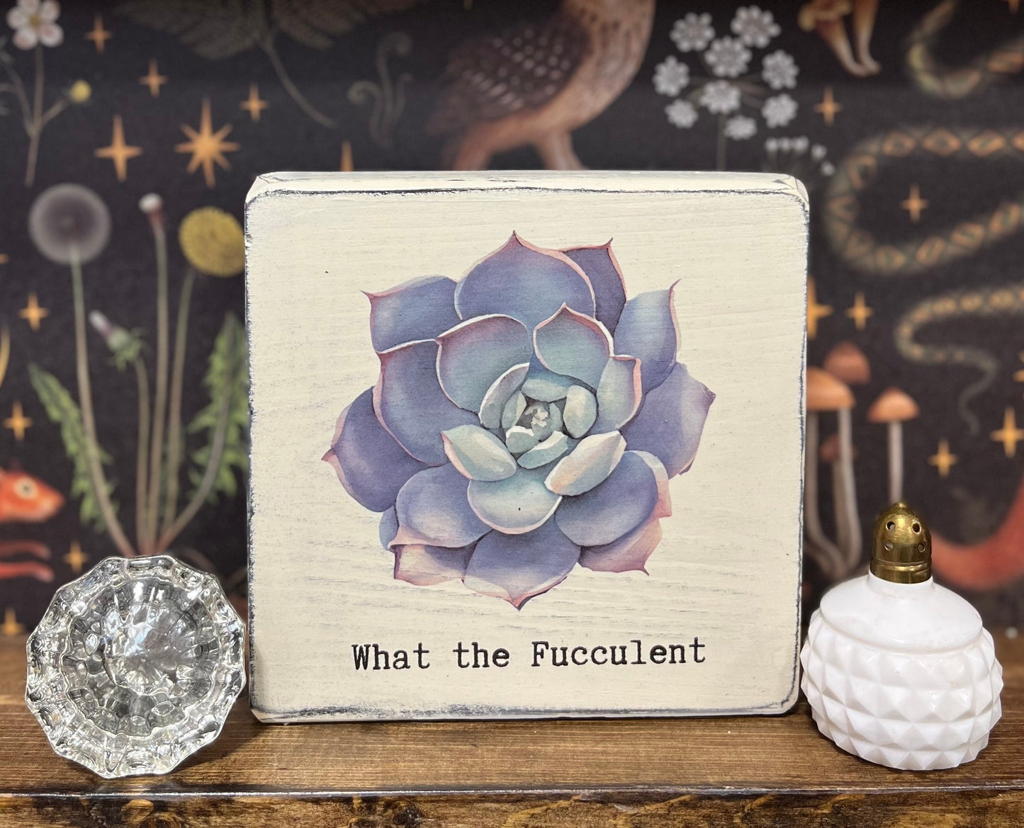 What the Fucculent Decorative Block, Funny Signs, Plant Lovers