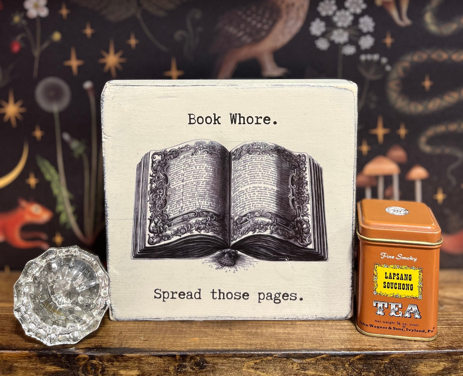 Book Whore Decorative Block, Funny Signs, Funny Gifts, Book Lover Gift