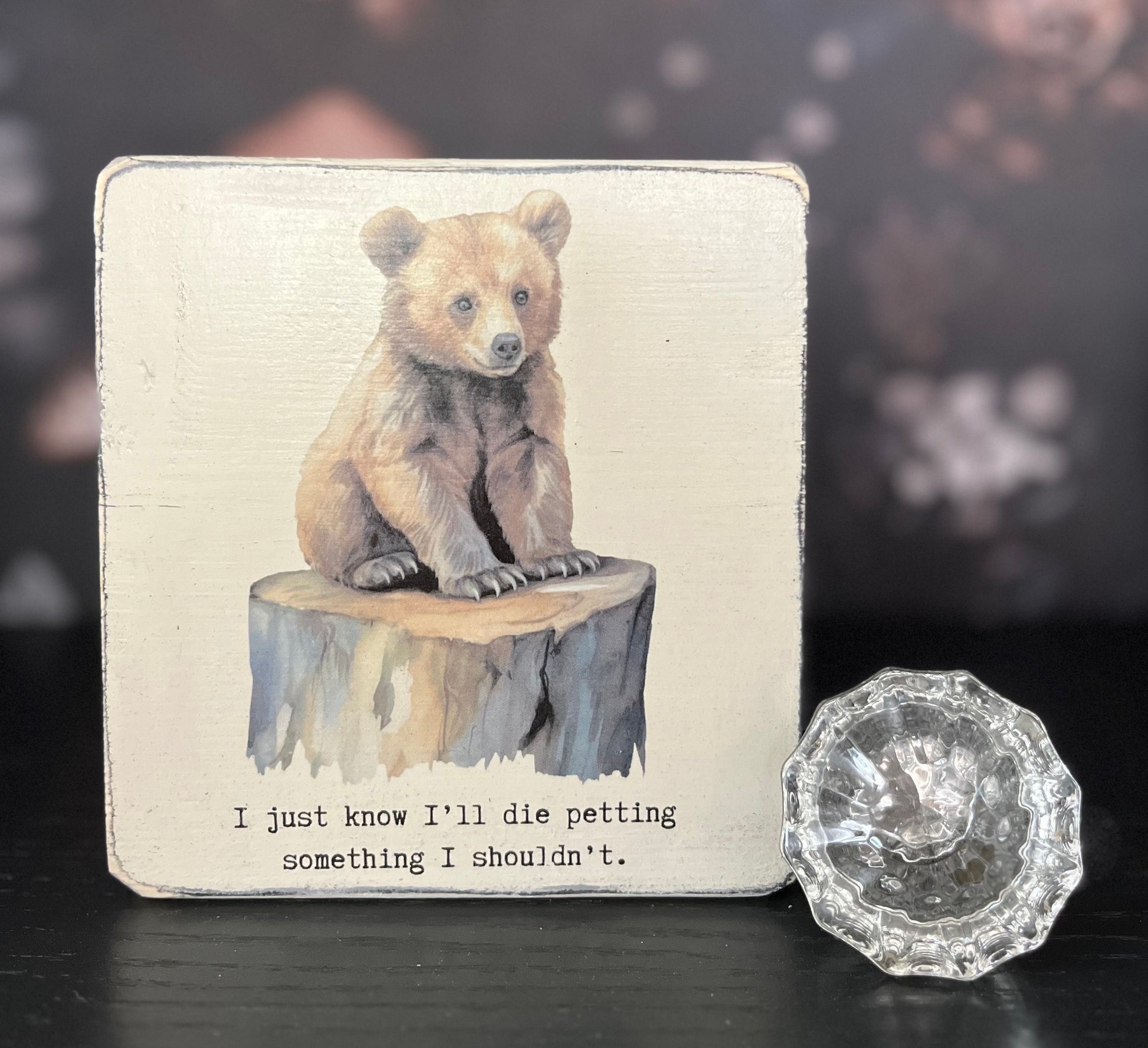 I just know I'll die petting something I shouldn't, Decorative Block, Funny Signs, Funny Gifts