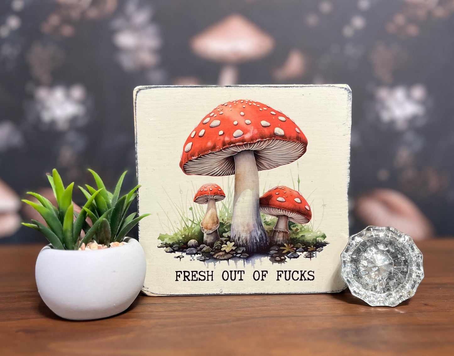 Fresh out of Fucks Decorative Block, Funny Signs, Funny Gifts
