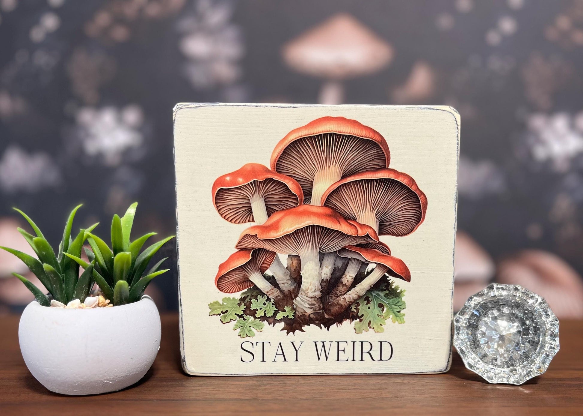 Stay Weird, Decorative Block, Funny Signs, Funny Gifts, Wooden sign