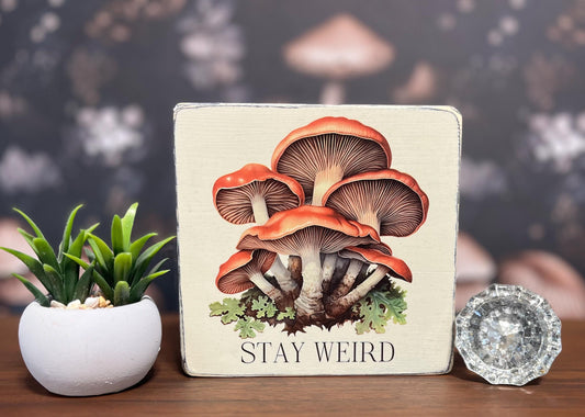 Stay Weird, Decorative Block, Funny Signs, Funny Gifts, Wooden sign