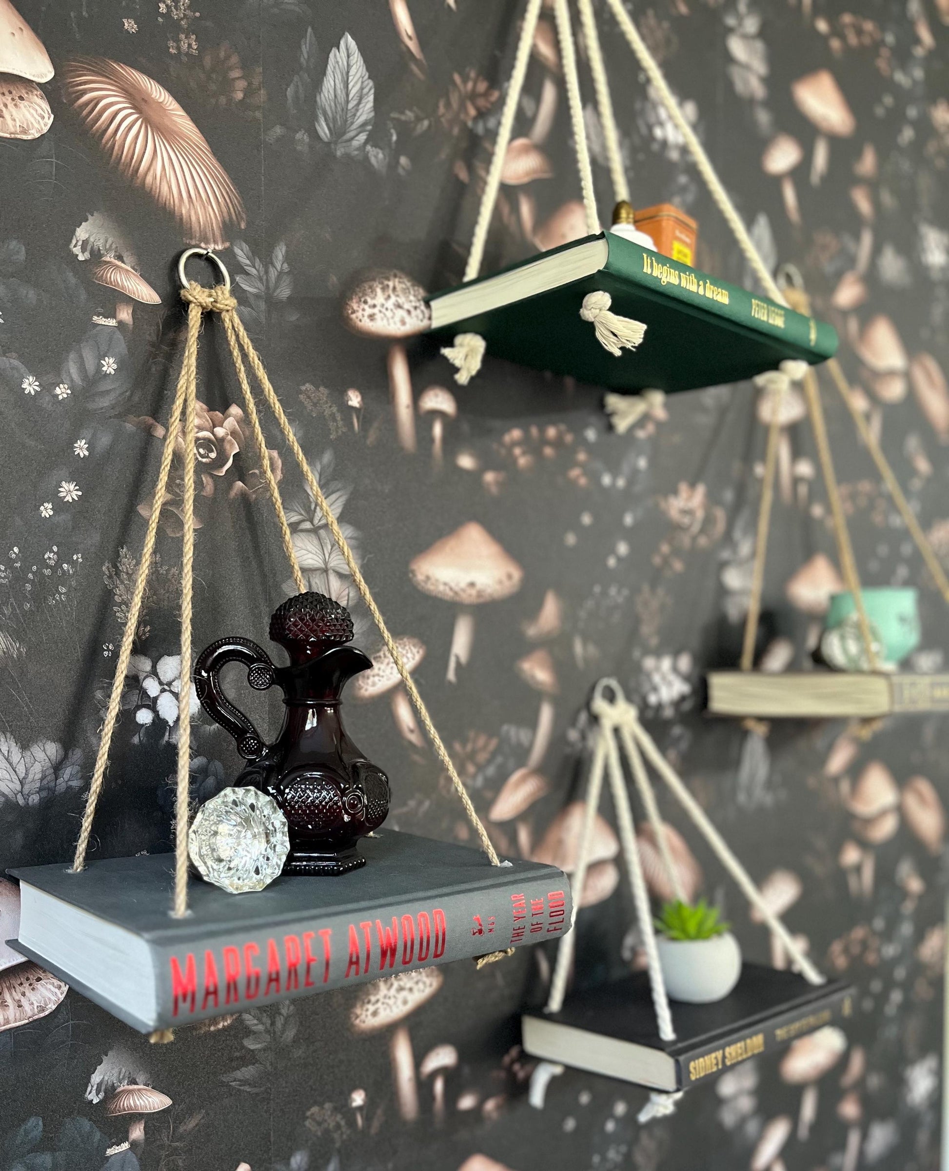 Novel Shelf, Hanging Rope Shelf, Plant shelf, Wall shelf, Succulent shelf, Book shelf