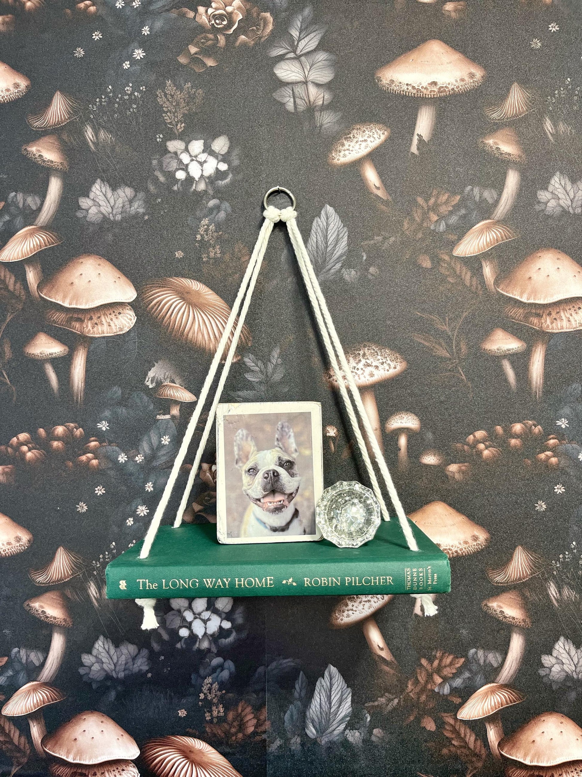 Novel Shelf, Hanging Rope Shelf, Plant shelf, Wall shelf, Succulent shelf, Book shelf