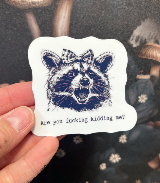 Are you fucking kidding me!, Sweary Stickers, Fridge Magnet, Kindle Sticker, Water Bottle Sticker, Laptop Sticker, Raccoon