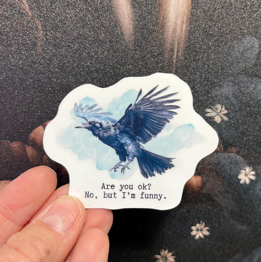 Are you ok? No, but I'm funny Stickers, Fridge Magnet, e-reader Kindle Sticker, Water Bottle Sticker, Laptop Sticker, Raven