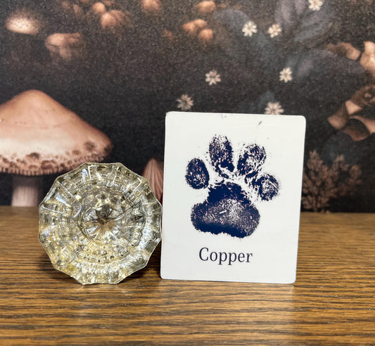 Custom Paw or Nose Print Sticker or Magnet, Sticker Bundle, Pet stickers, Pet Magnets, Phone Case Sticker, Sticker Bundle, Pet memorial
