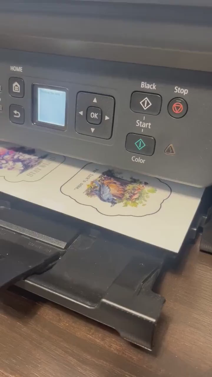 My anxiety is chronic, but this ass is iconic, Sticker, Fridge Magnet, e-reader Kindle Sticker, Water Bottle Sticker, Laptop Sticker